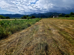 Teren 600mp Viisoara / Strada Primaverii - imagine 20