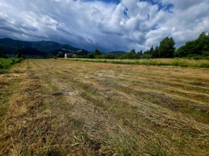 Teren 600mp Viisoara / Strada Primaverii - imagine 12