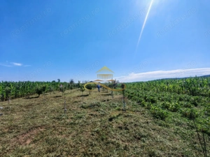 Casă de vânzare în Traian– 10 minute de BACAU - imagine 13