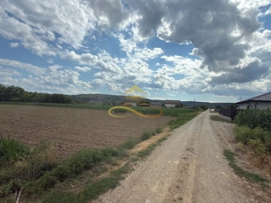 Teren de vanzare in Magura Bacau - imagine 2