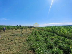 Casă de vânzare în Traian– 10 minute de BACAU - imagine 10
