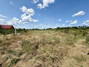 Teren Intravilan 2390mp - parcelabil - Malu Mare - imagine 6