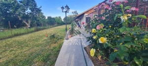 Casa individuala de vanzare cu teren de 2000 mp, Fratelia, Timisoara