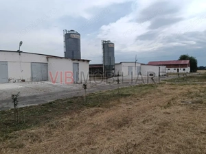 De vânzare fermă avicolă – Salonta, județul Bihor