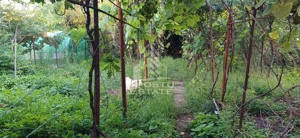 Casa din caramida de vanzare Freidorf Timisoara - imagine 10