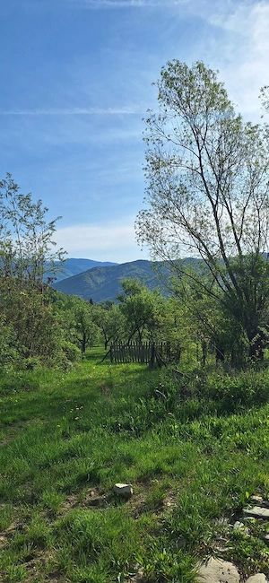 Teren extravilan de vânzare, Com. Nucșoara, Jud. Argeș, 10  mp - imagine 3