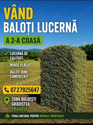 Vând baloti de lucernă 