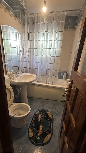 Regim Hotelier  | Apartament 1 camera - Central   250 Lei - imagine 3