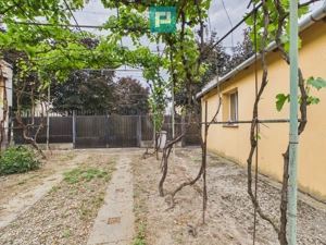 Casă + 2.877 mp teren în Timișoara - imagine 17