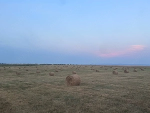 Baloti rotunzi de fân