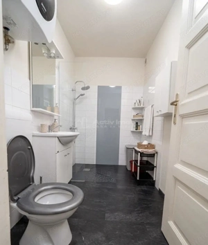 Imobil cu 3 apartamente - 270 mp construiti - langa Palatul Baroc – locuinta sau investitie - imagine 10