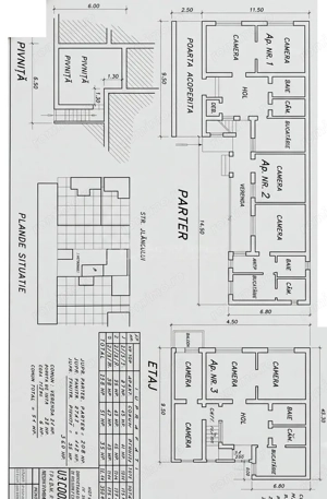 Imobil cu 3 apartamente - 270 mp construiti - langa Palatul Baroc – locuinta sau investitie