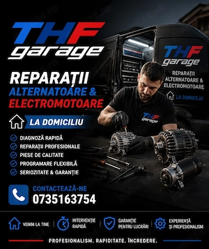 Reparatii Alternatoare Electromotoare la domiciliu
