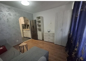 Cam de camin, Siraj-Frumoasa,250 euro - imagine 3