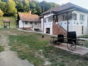 Casă boierească autentică restaurată Bujoreni Muzeul Satului 2000m teren intravilan 25ml deschidere  - imagine 6