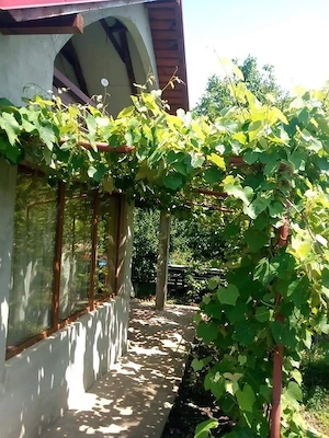 Casă modernă P+M (2010) și teren uriaș 2645mp   Dragalina, Hlipiceni - imagine 3