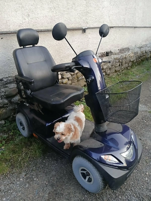 scuter electric carucior electric handicap dizabilitati