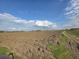Teren intravilan Creata, Ilfov, 2500mp - imagine 3