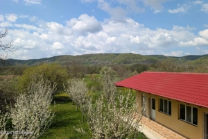 Arges | Valea Mare-Bratia | Vila 276 mp Lot 2063 mp | Zona Pitoreasca! - imagine 20