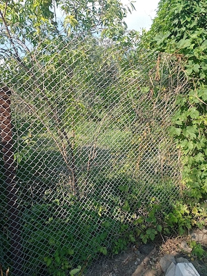 Vând teren intravilan in comuna Gurahont. Suprafața utilă 1800 mp.