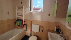 Casa de familie in Batania, la 20 km de Arad - imagine 3
