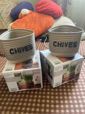 Ghiveci decorativ LIVARNO Home pentru plante aromatice   Nou   50 lei