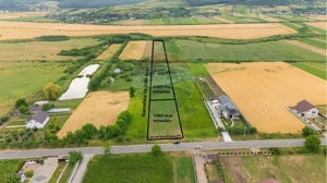 Teren de 10.000 m.p. cu deschidere la DN in Silistea/Todiresti - VS