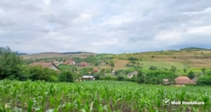 Casa in Camarasu-Cluj, utilitati, asfalt,  teren mare intravilan - imagine 4