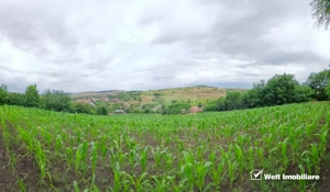 Casa in Camarasu-Cluj, utilitati, asfalt,  teren mare intravilan - imagine 8