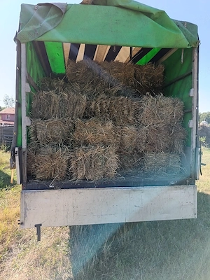 baloți de fân asigur transport