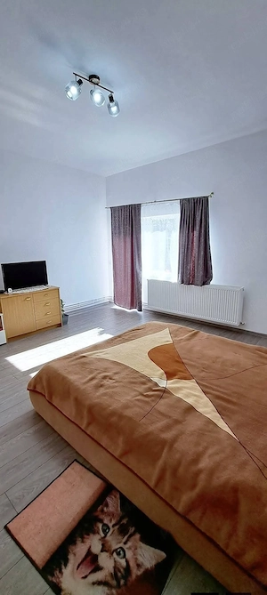 Apartament la casă  - imagine 2