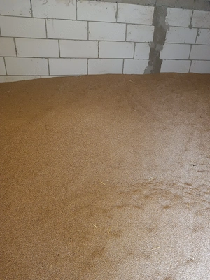 Vând triticale din anul acesta 