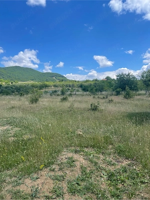 Teren extravilan - imagine 3