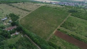 Colnă cu 7 camere în Covăsânț și teren 9 ha - imagine 11