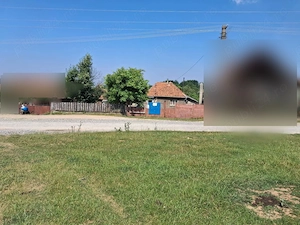 Casa cu teren de 8000 mp si livada - imagine 2
