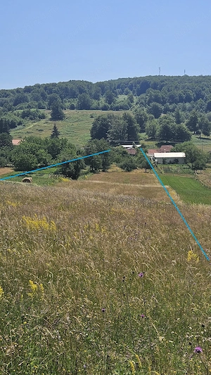 Casa cu teren de 8000 mp si livada - imagine 4