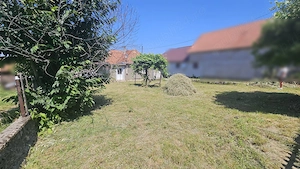Casa cu teren de 8000 mp si livada - imagine 3