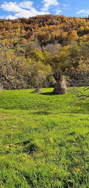 Teren 7.300 mp cu izvor și panoramă Sălciua, Apuseni - imagine 8