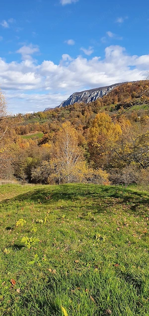 Teren 7.300 mp cu izvor și panoramă Sălciua, Apuseni - imagine 7