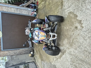 Vand dezmembrez bashan 300cc