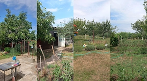 Se vinde o casă frumoasă în Curtici - imagine 5