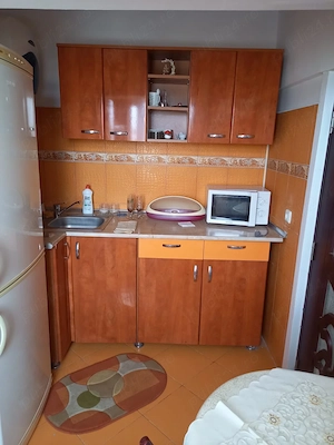 Închiriere garsonieră confort 1, Micro 9, bl 54, et 5 ,   - imagine 4