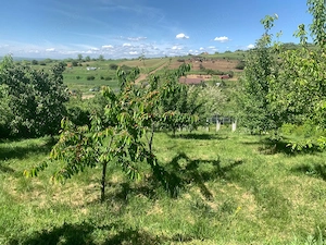 Teren intravilan de 2.300 mp de vânzare în Izvor,Simnicul de Sus, la doar câteva minute de C - imagine 8