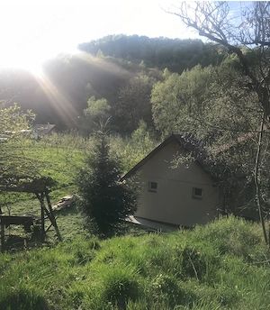 Casa vanzare zona vis - imagine 3