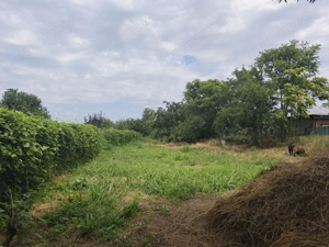 Vânzare Teren Intravilan 1430 mp Sat Izvoarele, Hotarele Giurgiu - imagine 2