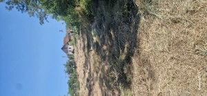 Casă si grădină in localitatea Henig,casa nu este locuibilă - imagine 4