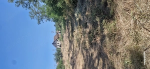 Casă si grădină in localitatea Henig,casa nu este locuibilă - imagine 2