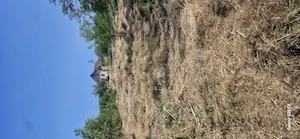 Casă si grădină in localitatea Henig,casa nu este locuibilă - imagine 3