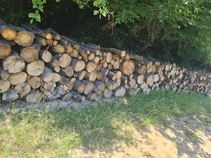 lemne de foc 