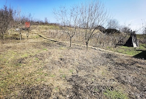 Proprietate Privata 1.511 mp în Leamna de Sus   Casă Cărămidă - imagine 7